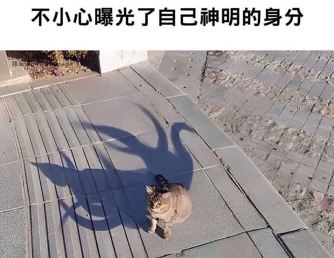 https://primal.bostr.online/52a8777ddaa4454161f98f734a21011f2041bdf4600bd7fa3dc1fd2ac14e6a72.jpg