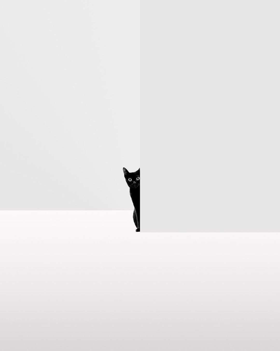 https://primal.bostr.online/8c1742dfd6bb70b7cacb7143ab9b50af4d997c2bcb407f4ad04aa3e02a69393e.jpg