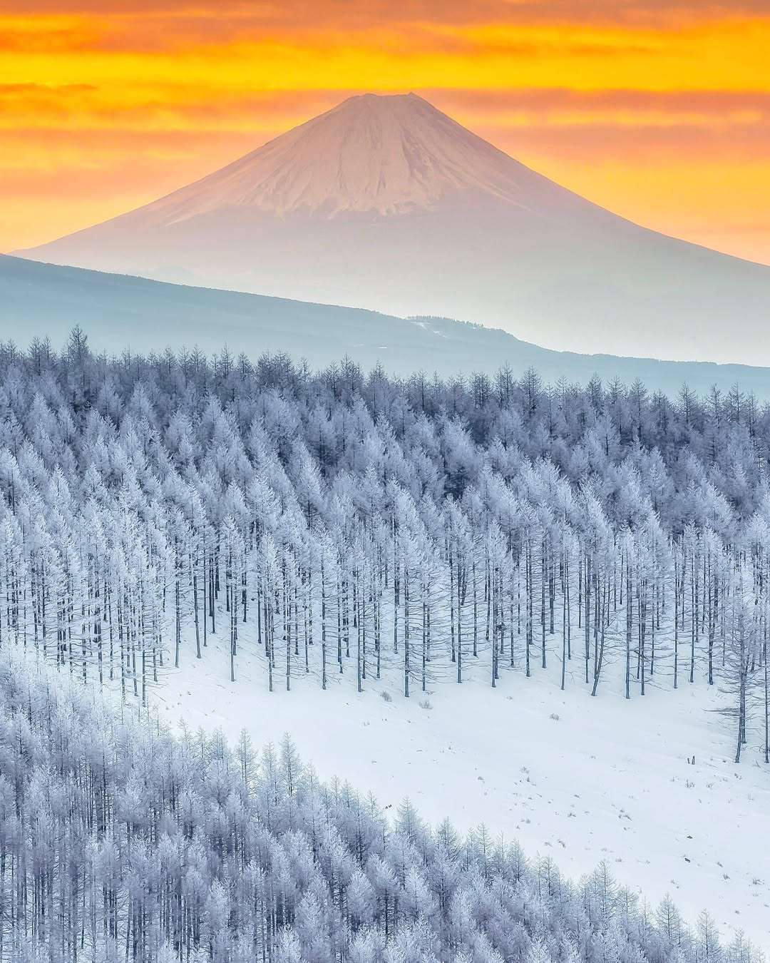 https://primal.bostr.online/fe9519e58031ce59e029543359b01c065b42c431180d94bf38b901c470f47dd5.jpg